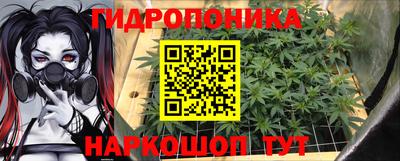 прущие крисы Ипатово
