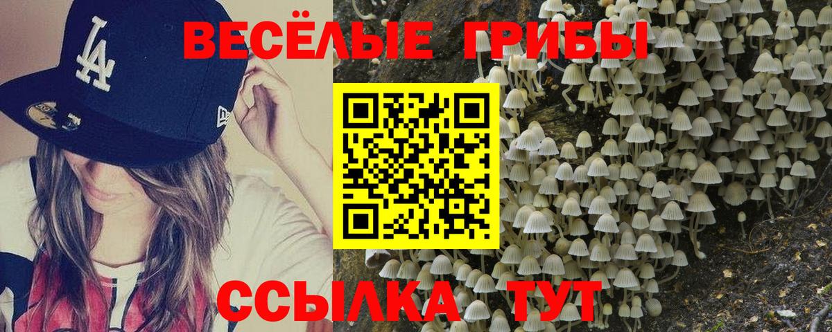Галлюциногенные грибы Psilocybe  Вход с VPN  Галлюциногенные грибы Psilocybine cubensis  Торжок 